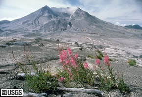 Mt Saint Helens USGS